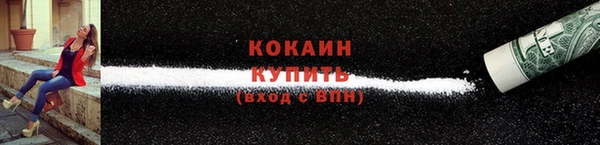 гашик Богданович