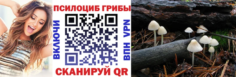 купить наркоту  Кизел  Псилоцибиновые грибы Psilocybine cubensis 